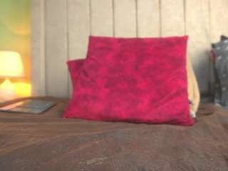 pattymm's CamSoda show and profile