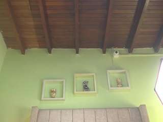 pattymm's CamSoda show and profile