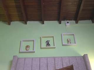 pattymm's live room