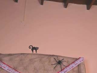nataliacollislim webcam model