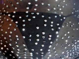 bbwsalome1