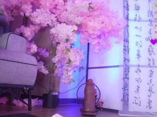 marry-cordy webcam