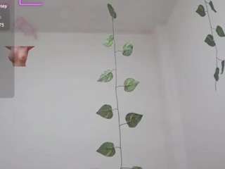 stephybrowm7 webcam