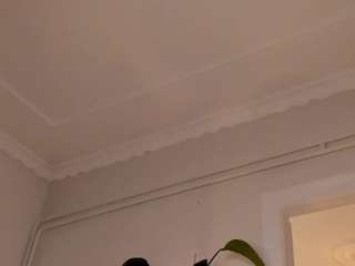 Divaandrea19 live webcam show