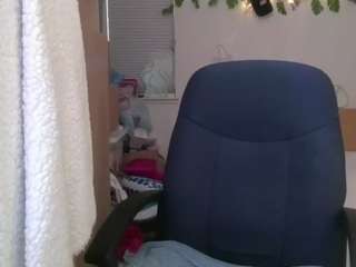 Jenkini live cam preview