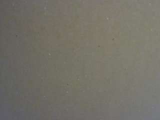 voyeurcam-jb-bon... Live Webcam on CamSoda