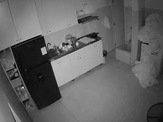 voyeurcam-jb-kitchen-1