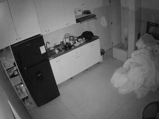 voyeurcam-jb-kitchen-1
