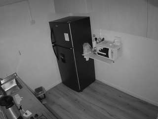 voyeurcam-jb-kitchen-2