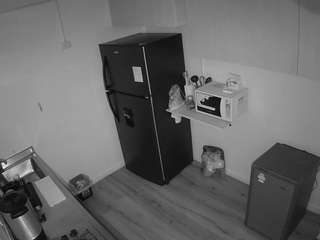 voyeurcam-jb-kitchen-2