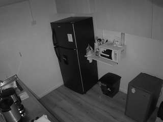 voyeurcam-jb-kitchen-2