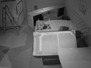 voyeurcam-jb-office-1