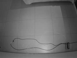 voyeurcam-jb-office-1, female webcam model,  years old, on live webcam