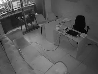 Office 1's Live Sex Cam Show