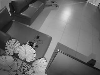 voyeurcam-jb-office-2 webcam