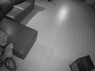 voyeurcam-jb-office-2