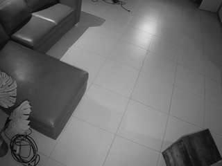 voyeurcam-jb-office-2