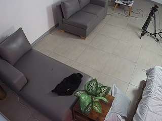 voyeurcam-jb-office-2 webcam