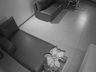 voyeurcam-jb-office-2
