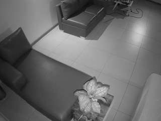 voyeurcam-jb-office-2