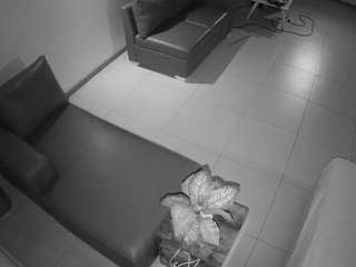 voyeurcam-jb-office-2