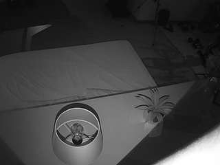 voyeurcam-jb-office-2 webcam
