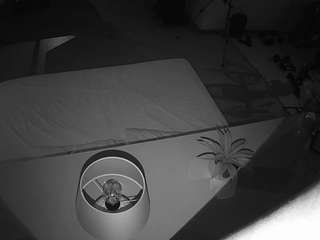 voyeurcam-jb-office-2