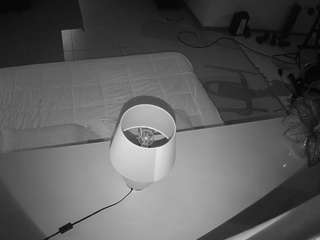 voyeurcam-jb-office-2