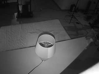 voyeurcam-jb-office-2