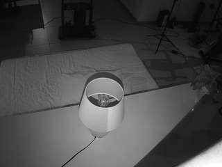 voyeurcam-jb-office-2