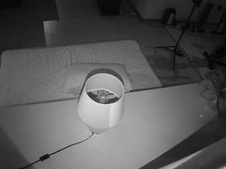 voyeurcam-jb-office-2
