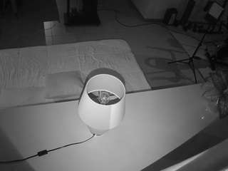 voyeurcam-jb-office-2