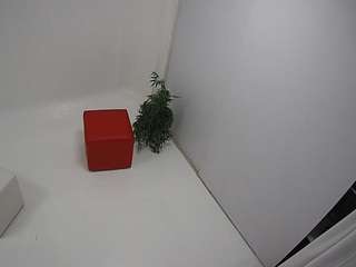 voyeurcam-jb-por... Live Webcam on CamSoda
