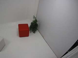 voyeurcam-jb-por... Live Webcam on CamSoda