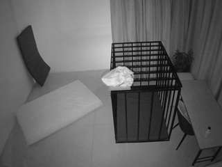 voyeurcam-jb-porno-room-2 from camsoda