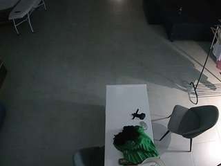 voyeurcam-jb-room-1