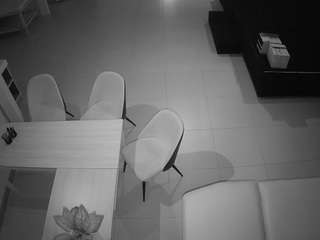 voyeurcam-jb-room-1