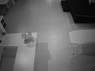 voyeurcam-jb-room-1