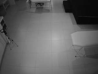 voyeurcam-jb-room-1