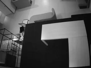 Voyeur House Cams. All FREE 24/7.