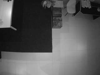 voyeurcam-jb-room-4 webcam model