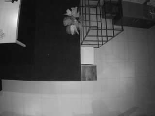 voyeurcam-jb-room-4 live cam profile