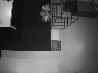 voyeurcam-jb-room-4