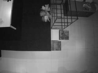 voyeurcam-jb-room-4 live cam profile