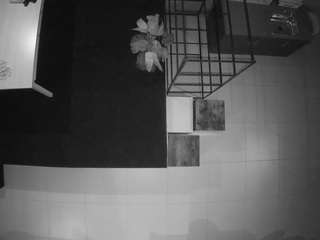 voyeurcam-jb-room-4 live cam profile