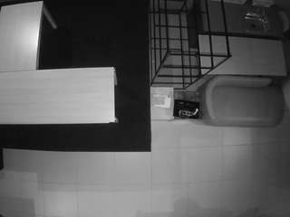 voyeurcam-jb-room-4