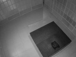voyeurcam-jb-room-5