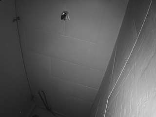 voyeurcam-jb-shower-1