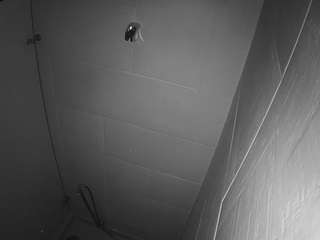 voyeurcam-jb-shower-1