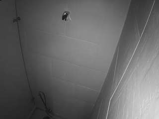 voyeurcam-jb-shower-1